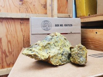 Propolis