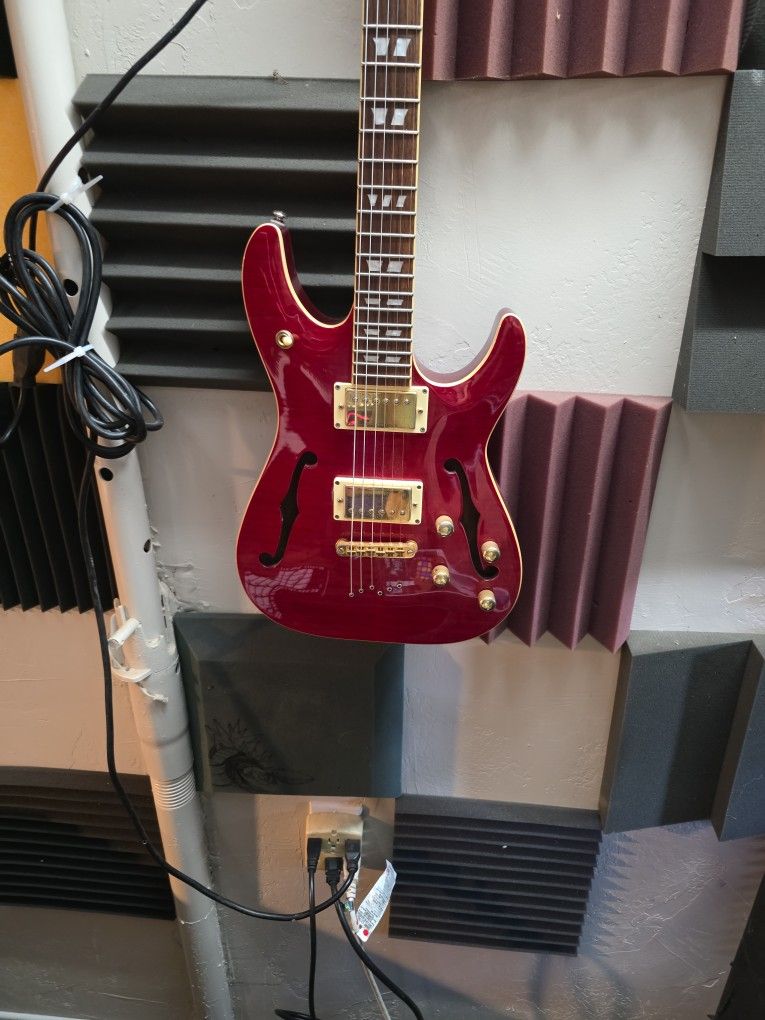 Schecter Electric Guitar