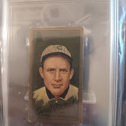 1911T205 GOLD BORDER ORVAL OVERALL