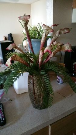 Floral arrangement