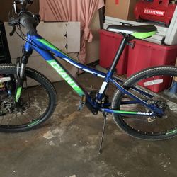 GIANT mountain bike
