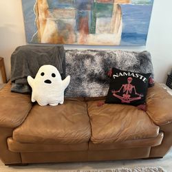 Good Condition Couches 