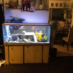 Fish Tank Decor 