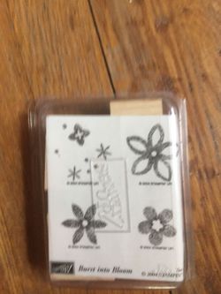Stampin Up Burst into Bloom