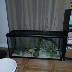 30 Gallon Aquarium 