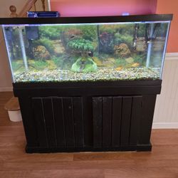 75 Gallon Aquarium With Stand