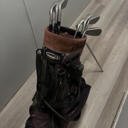 Titleist irons DCI Series 981 Full Set 3iron To Pitching Wedge + Bag