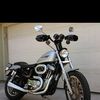 HarleyRider03