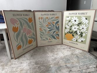 3 pc Wall Art
