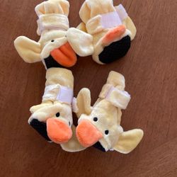 Small Dog Shoes 