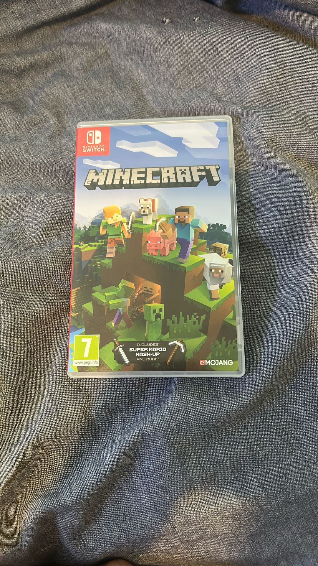 Minecraft Nintendo Switch