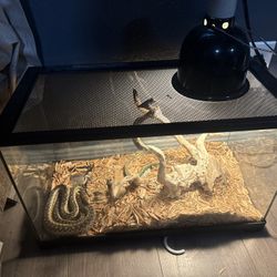 Tank 10 Gal 