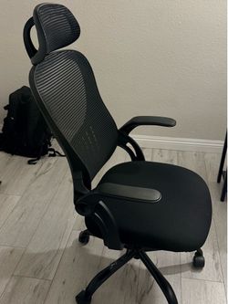 Temu Erogonomic high back computer desk chair