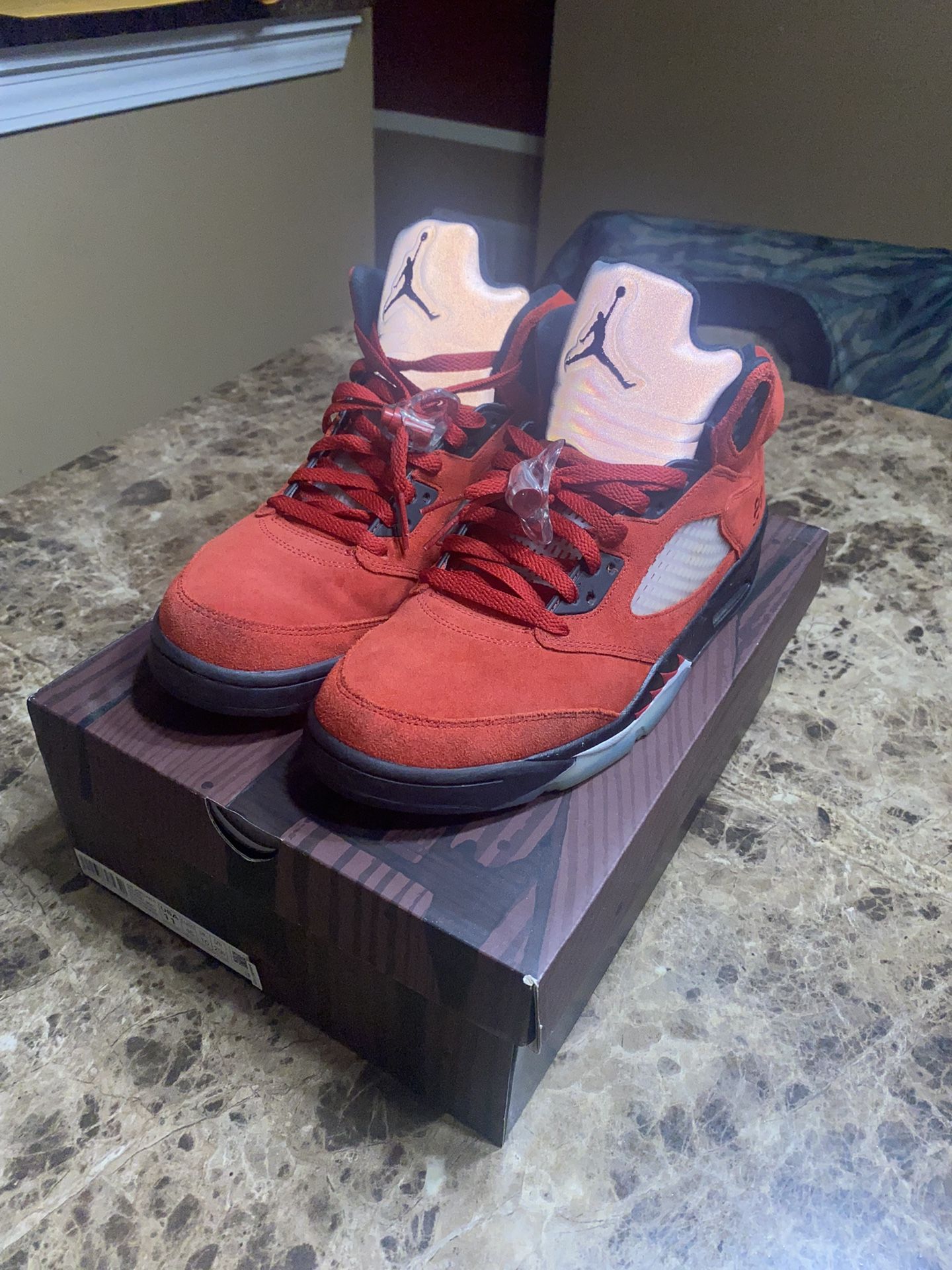 Air Jordan Raging Bull 4s