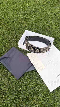 Christian Dior oblique belt