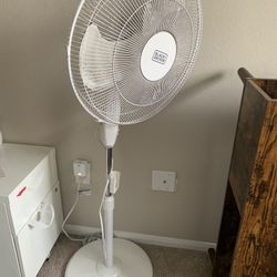 Fan