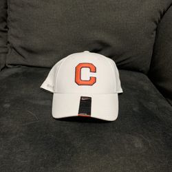 Clemson Hat