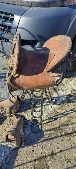 Saddle 