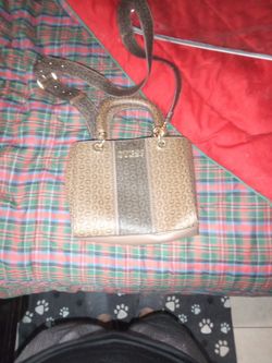 Purses 