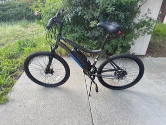 Schwinne Electric Bike