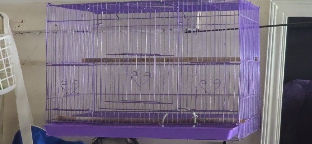 CAGE. BIRDS