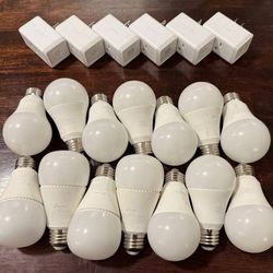 TP Link Kasa / Tapo Lot