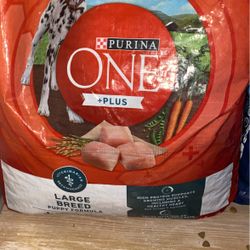 Purina One (puppy)