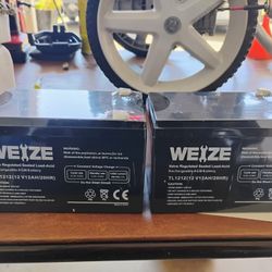 12 Volt 12 AH Batteries 