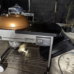 Weber Performer