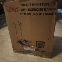 Workout Mini Stepper