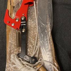 Brand New Salt, Cut Branches