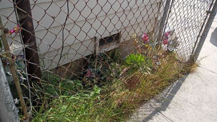 Need slim or small person to weed and clean up two garden areas ✖