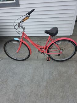 Schinn bike