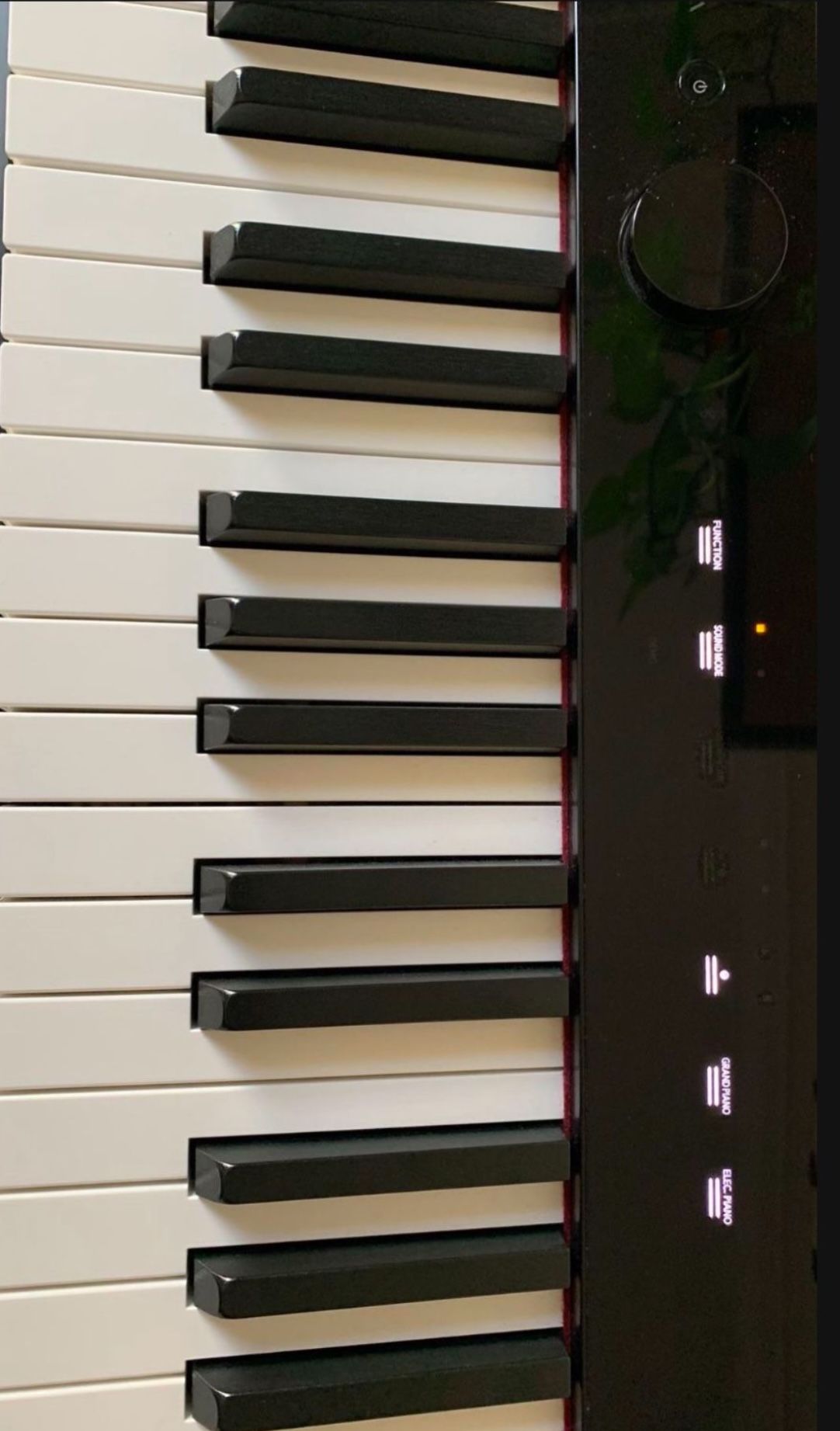 🎹 Casio PRIVIA keyboard (PX S-1000) ***includes FREE Keyboard Bag ($80 Value - Brand New)