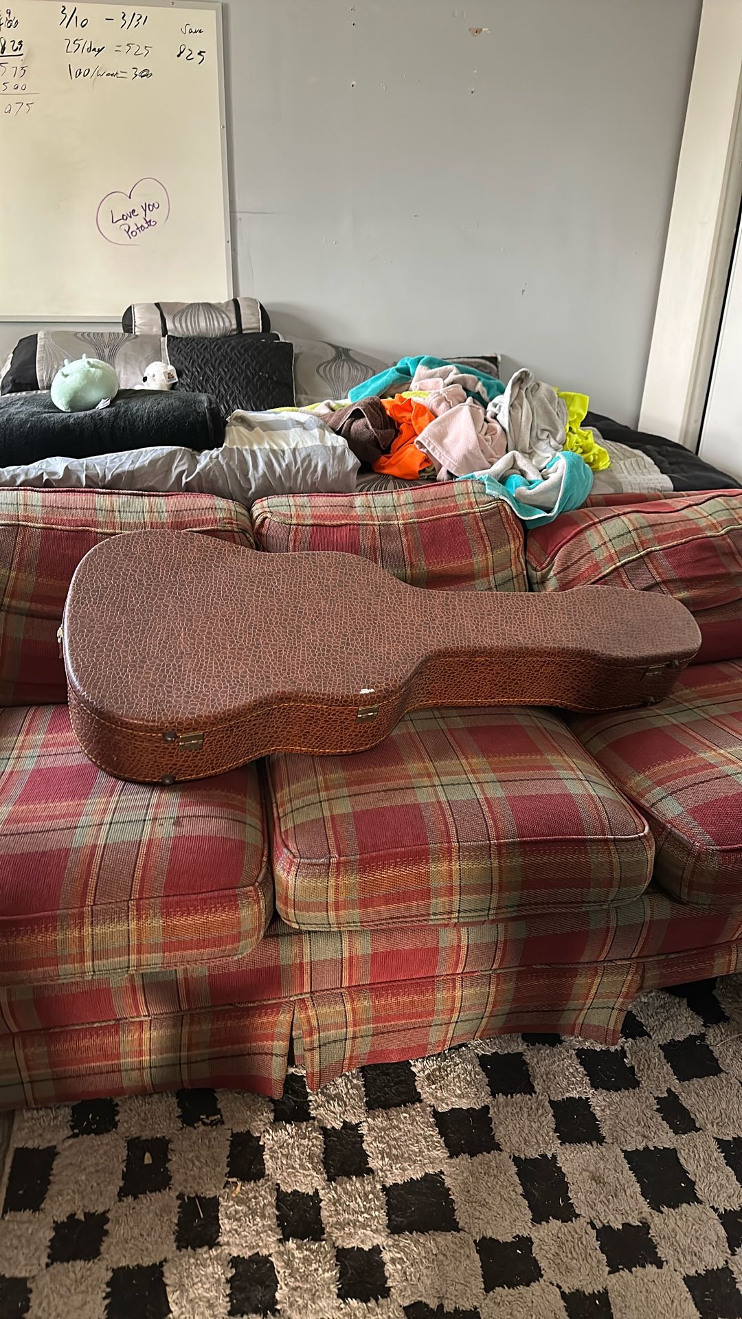 Guitar Case