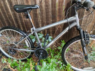 Bike Read description