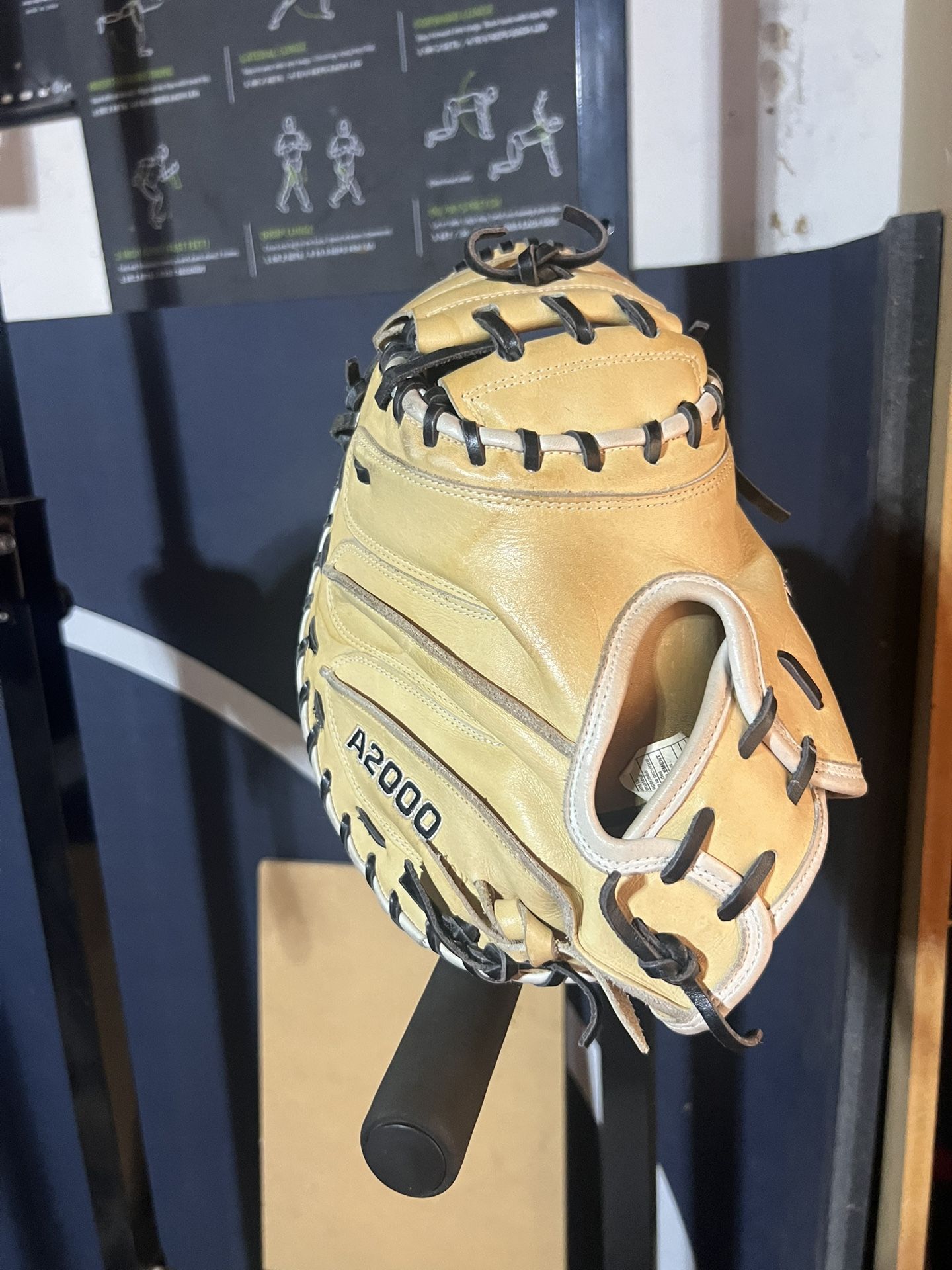 Catcher Glove