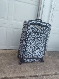 Luggage carry on