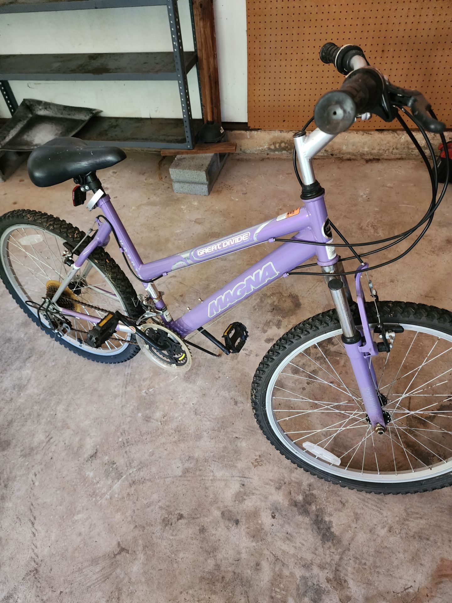 Magna Great Divide 24" Mountain Bike-Purple
