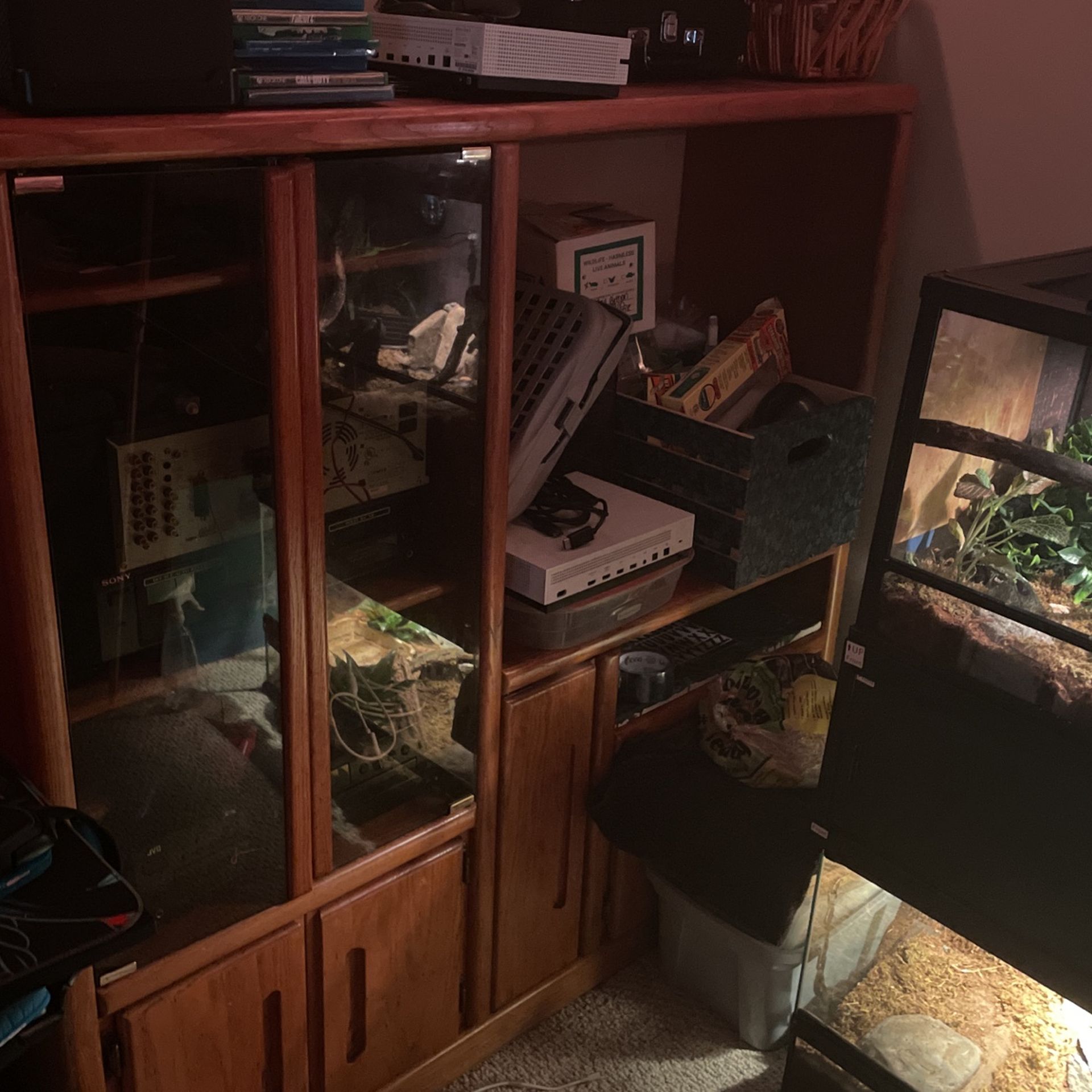 Old Entertainment Center