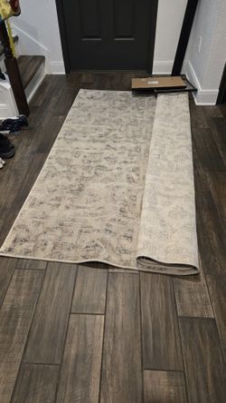 Living Room Rug From Sams 