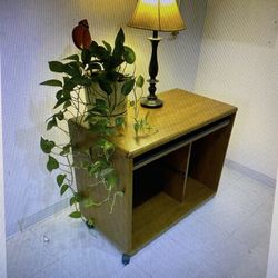 Computer Wood Desk