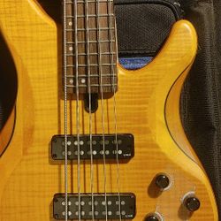 YAMAHA TRBX 5 STRING BASS