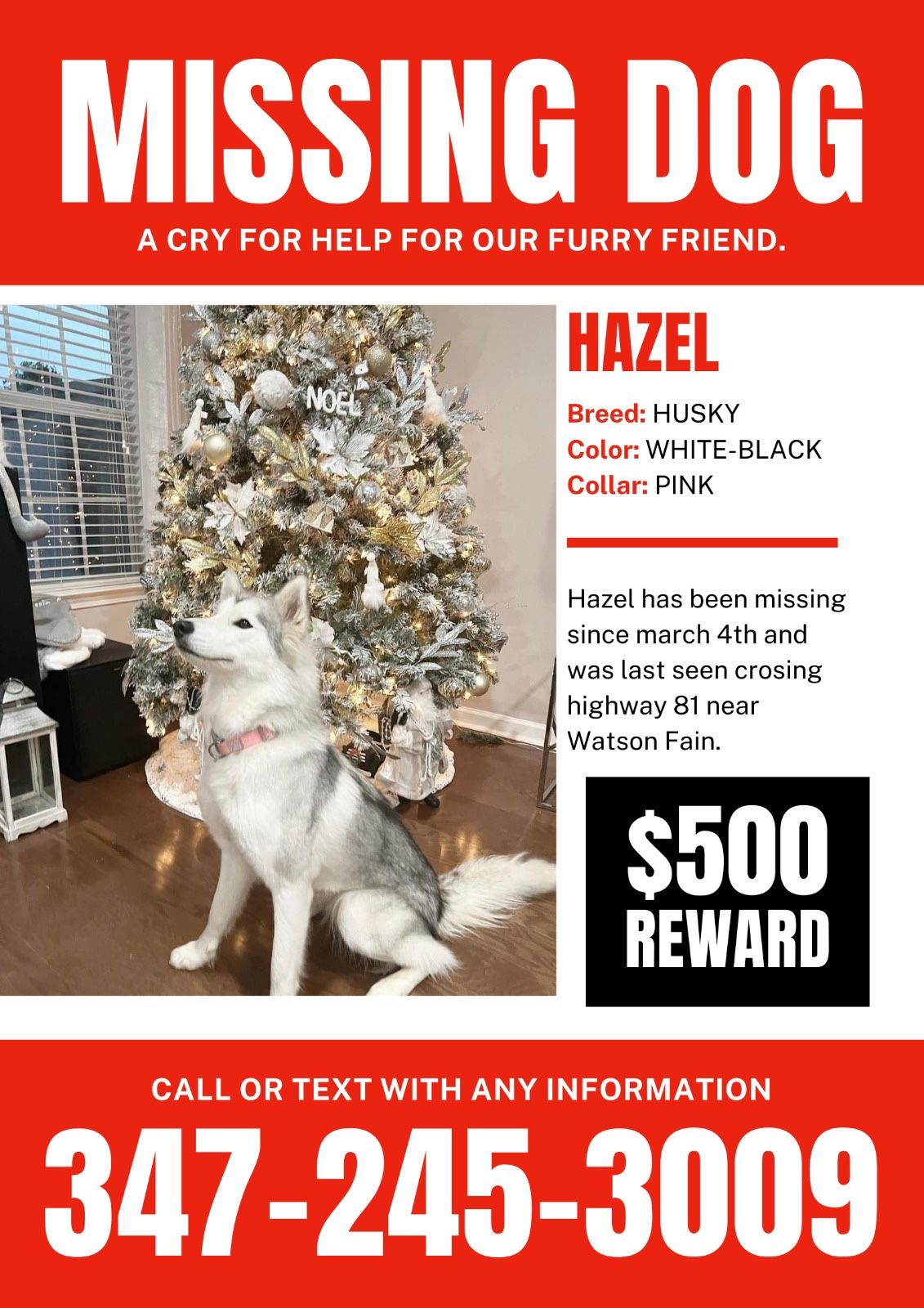 Missing Dog