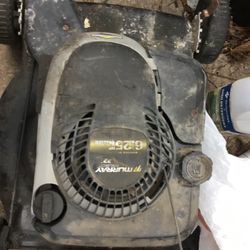 Edger And Lawn Mower