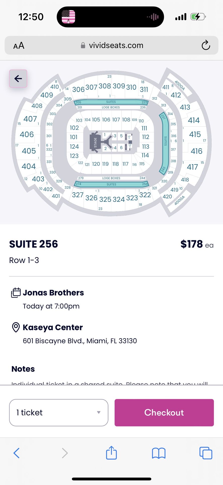 Jonas Brothers Concert