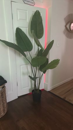Fake plant