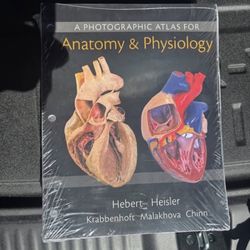 Anatomy 125