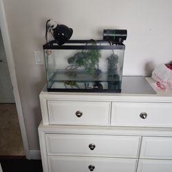25 Gallon Turtle Tank With Everything
