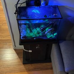15 Gallon Fish Tank With Stand And Whole Setup 